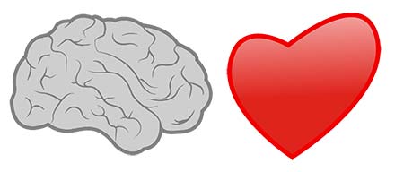 A grey brain and a red heart